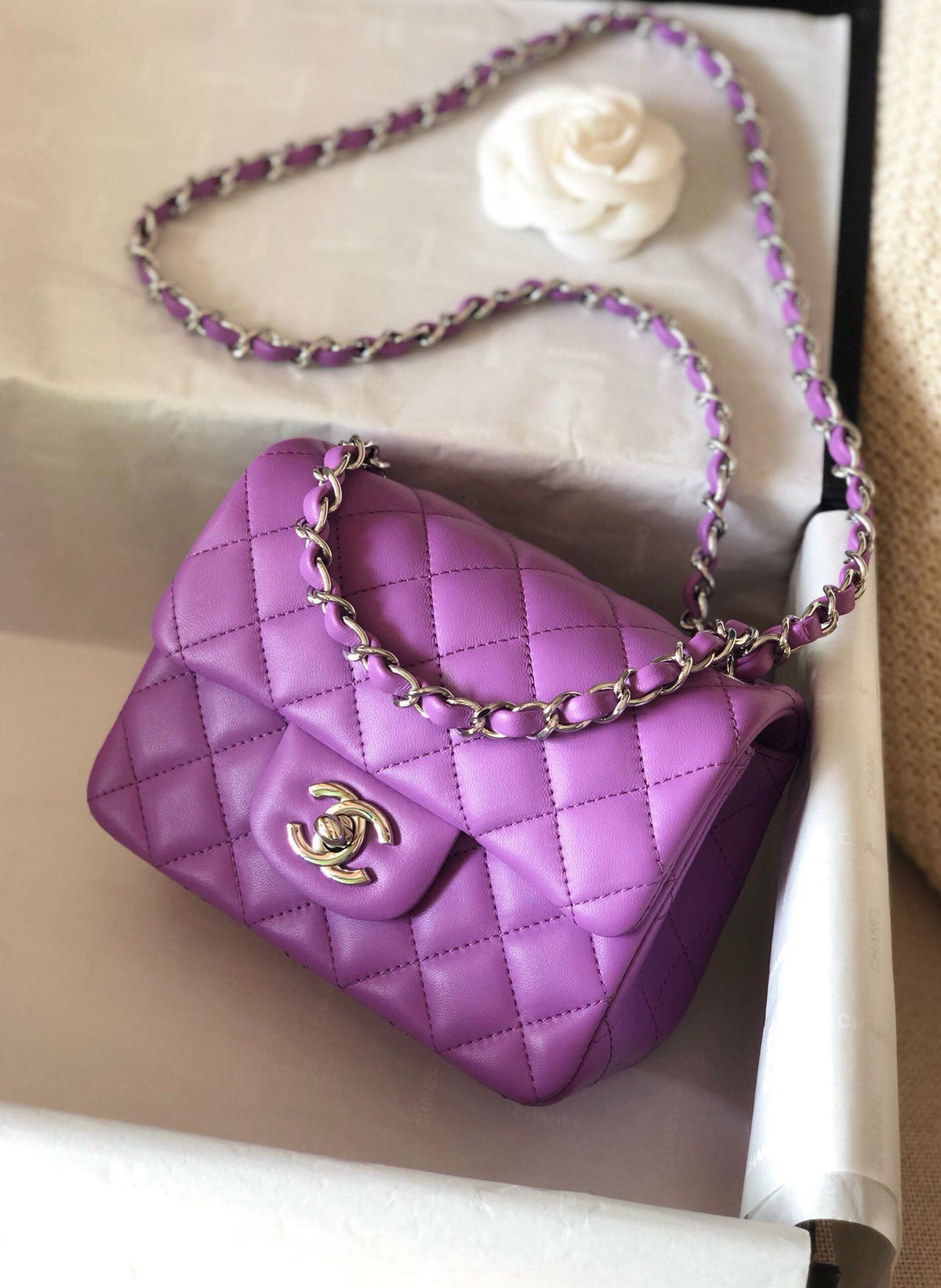 Fang Fatzi Mini 17cm CF has a very feminine elegance and inherits classics. It is listed as the historical sales champion and is an indispensable piece in every pink fan’s wardrobe. 17cm650 Sheepskin
