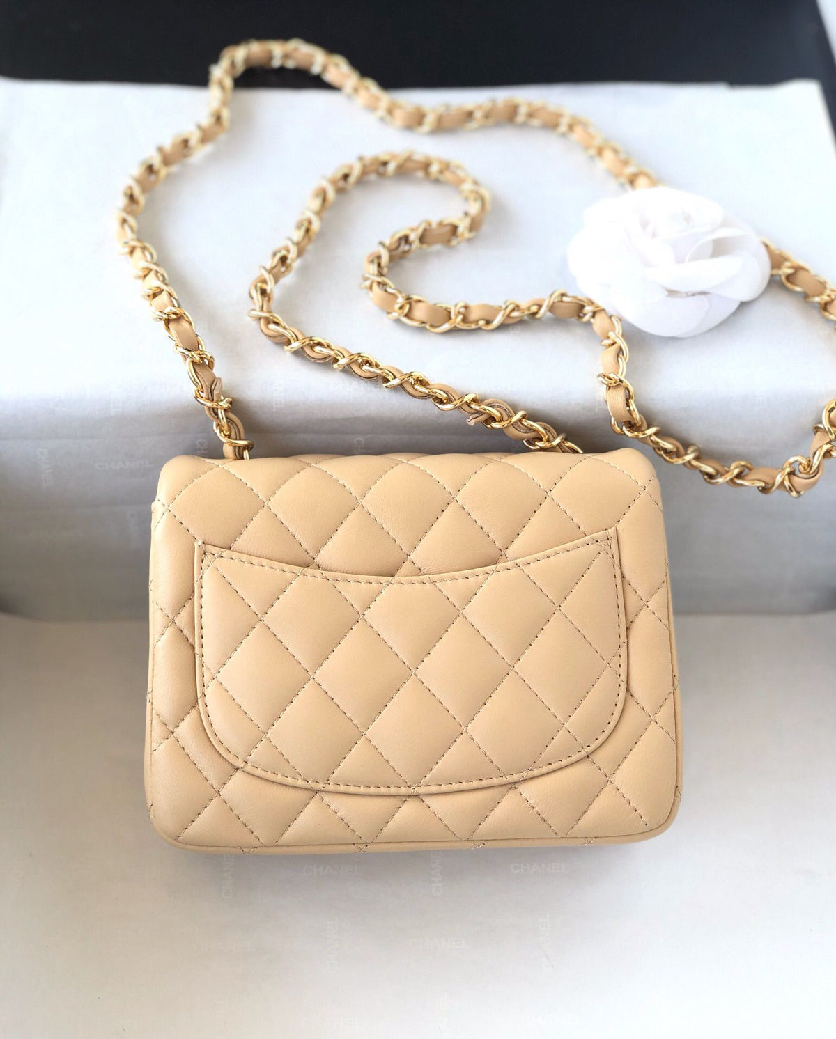 Fang Fatzi Mini 17cm CF has a very feminine elegance and inherits classics. It is listed as the historical sales champion and is an indispensable piece in every pink fan’s wardrobe. 17cm650 Sheepskin