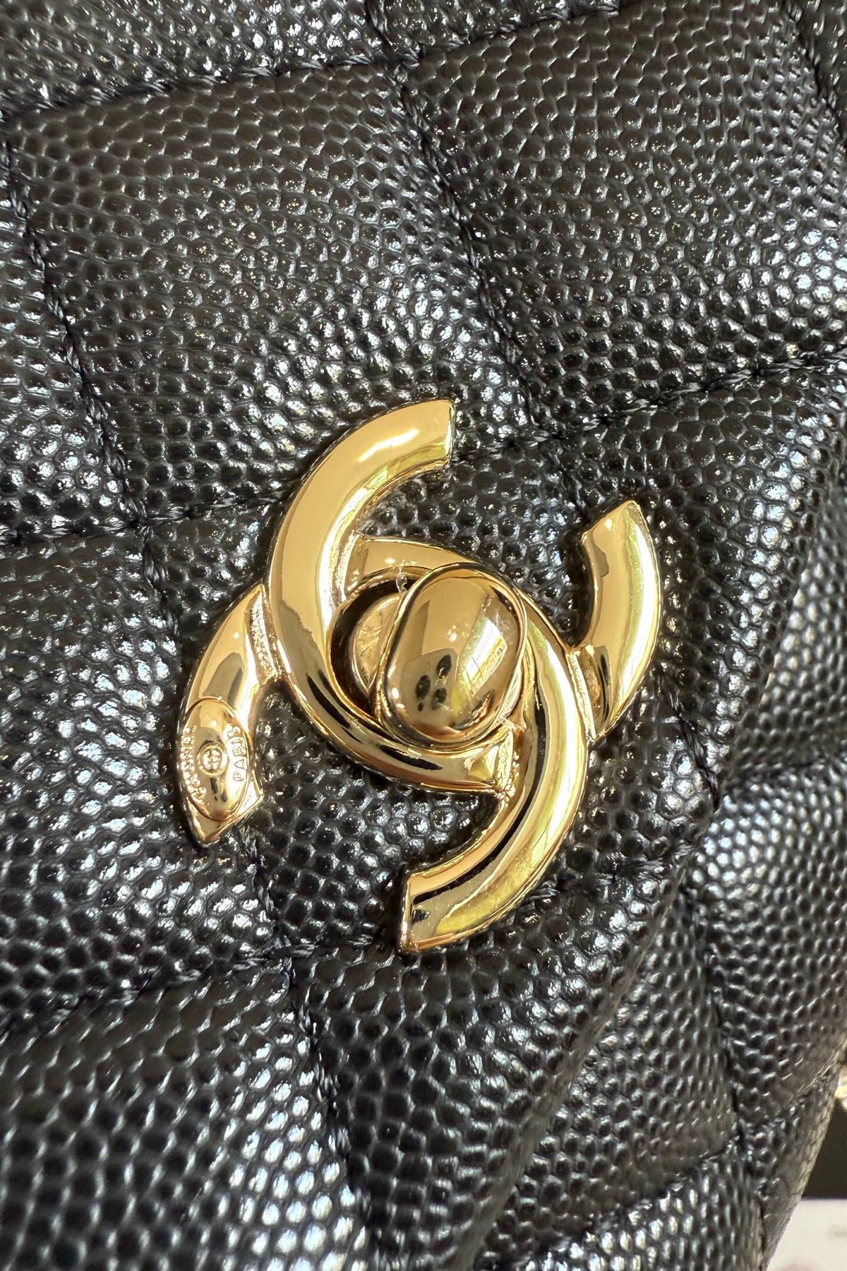 Coco handle mini champagne gold hot style