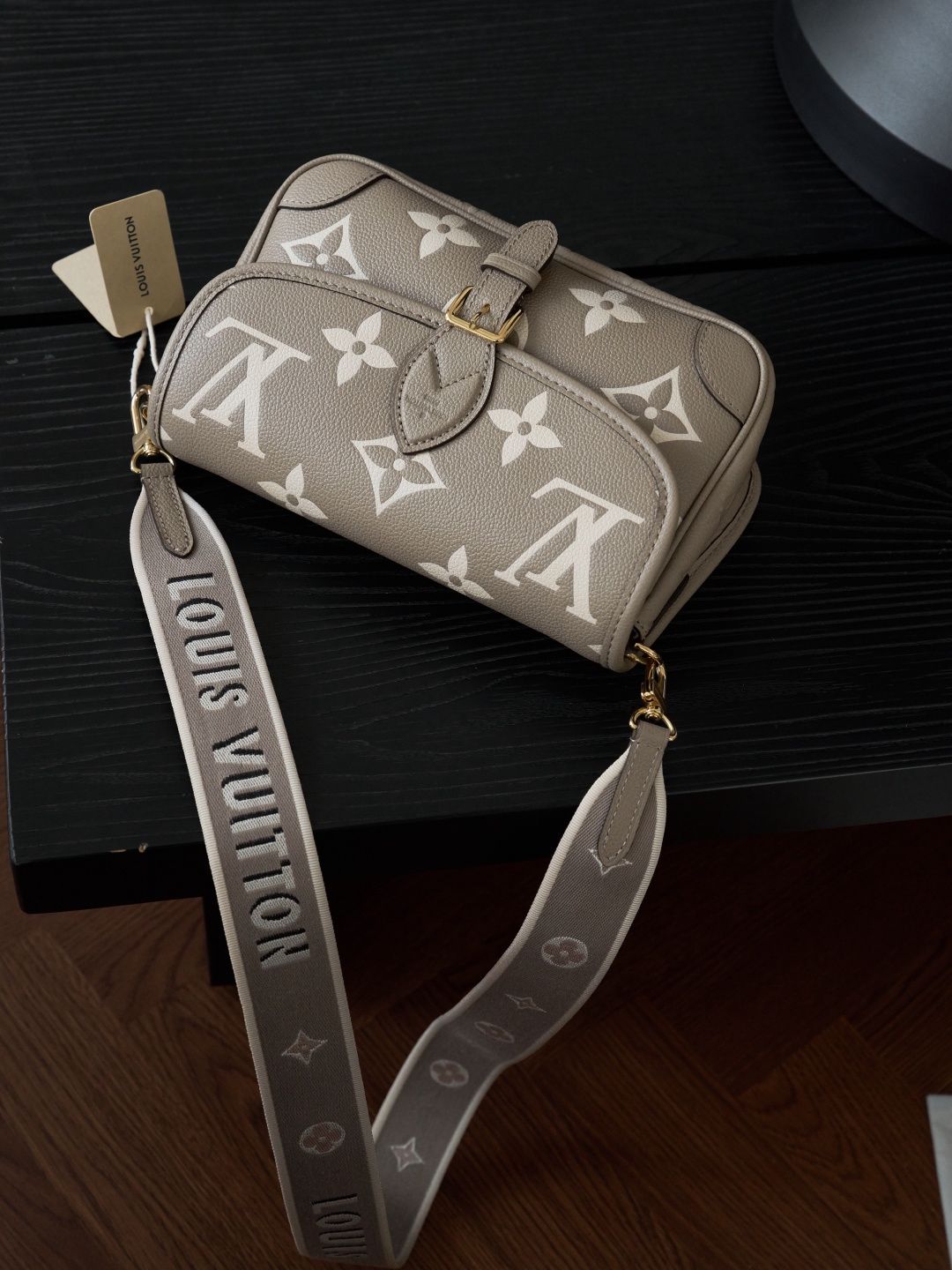 DIANE handbag M46583 P1480 Elephant Grey Baguette