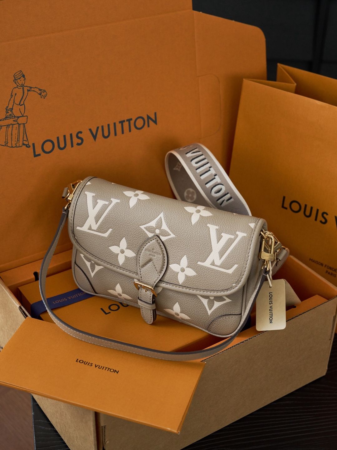 DIANE handbag M46583 P1480 Elephant Grey Baguette