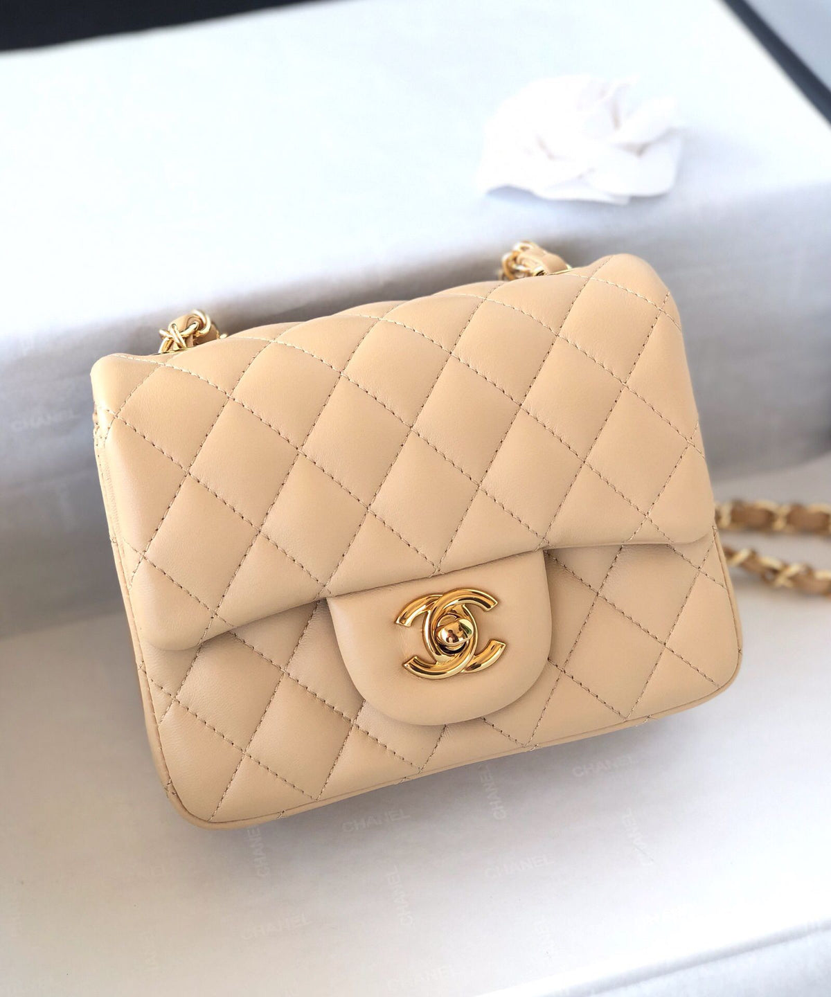 Fang Fatzi Mini 17cm CF has a very feminine elegance and inherits classics. It is listed as the historical sales champion and is an indispensable piece in every pink fan’s wardrobe. 17cm650 Sheepskin