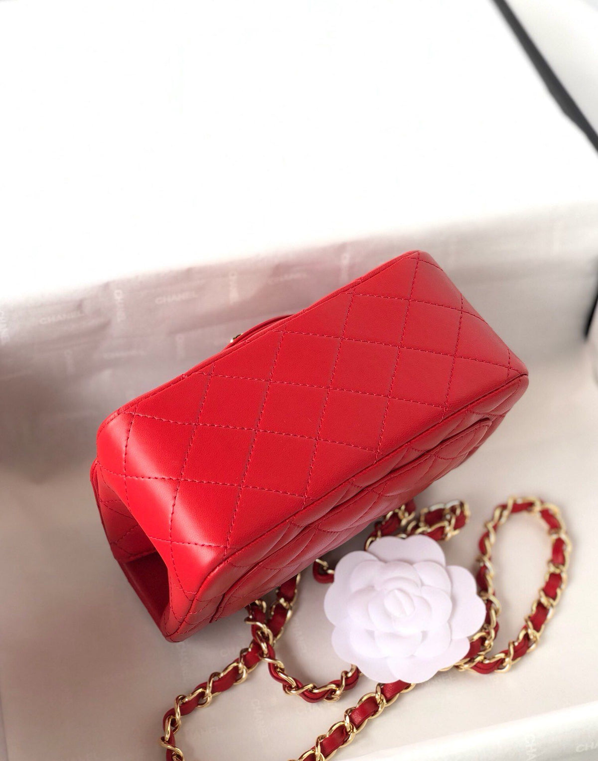 Fang Fatzi Mini 17cm CF has a very feminine elegance and inherits classics. It is listed as the historical sales champion and is an indispensable piece in every pink fan’s wardrobe. 17cm650 Sheepskin