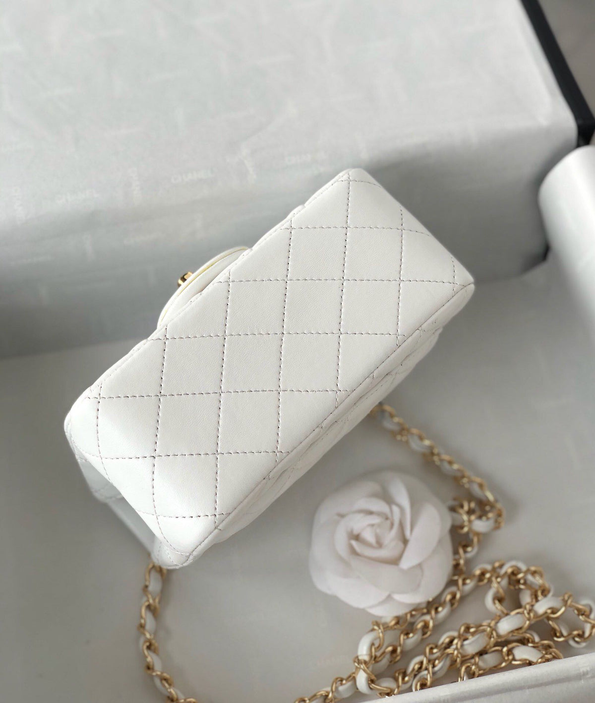 Fang Fatzi Mini 17cm CF has a very feminine elegance and inherits classics. It is listed as the historical sales champion and is an indispensable piece in every pink fan’s wardrobe. 17cm650 Sheepskin