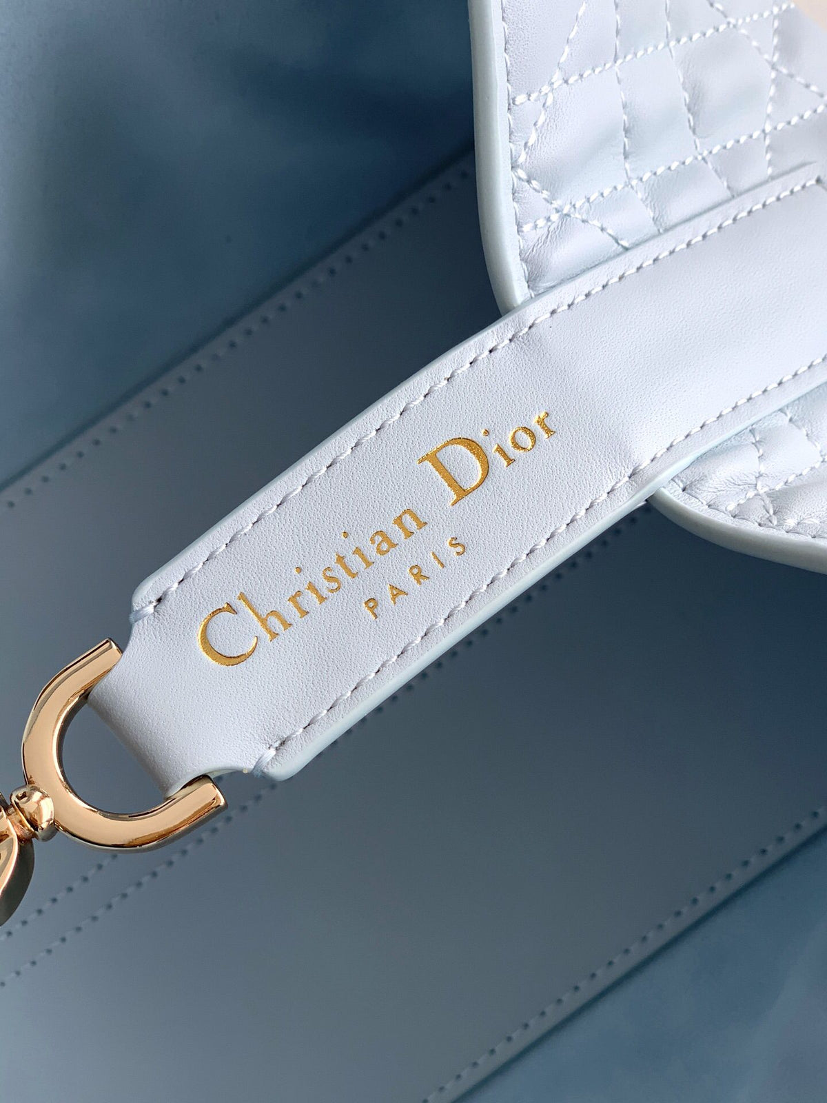 This Toujours handbag debuted at the 2023 spring and summer collection show. It has a casual and practical design with a unique style. It is made of ice blue cow leather and is decorated with oversized cannage pattern topstitching. Spacious internal compa