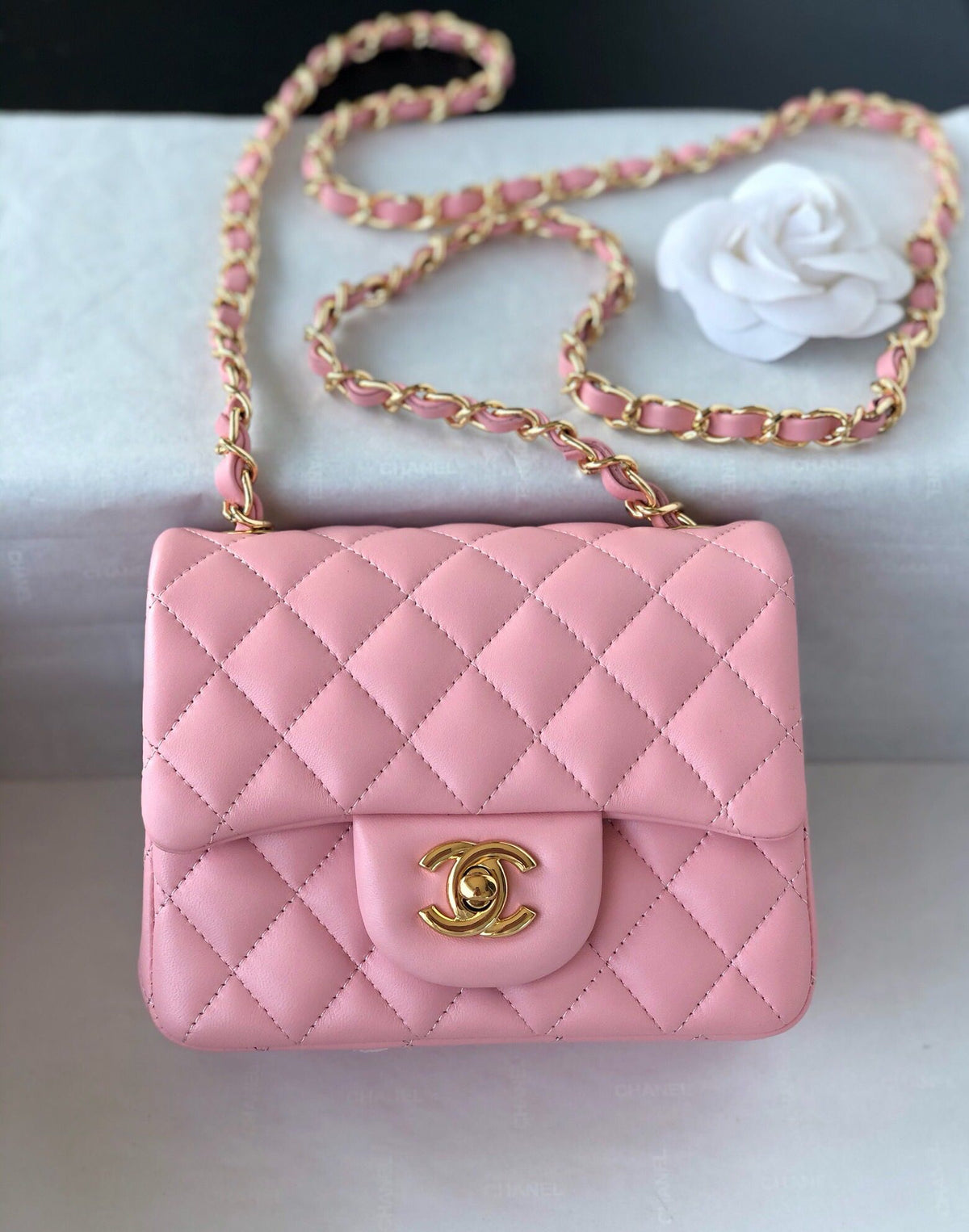 Fang Fatzi Mini 17cm CF has a very feminine elegance and inherits classics. It is listed as the historical sales champion and is an indispensable piece in every pink fan’s wardrobe. 17cm650 Sheepskin