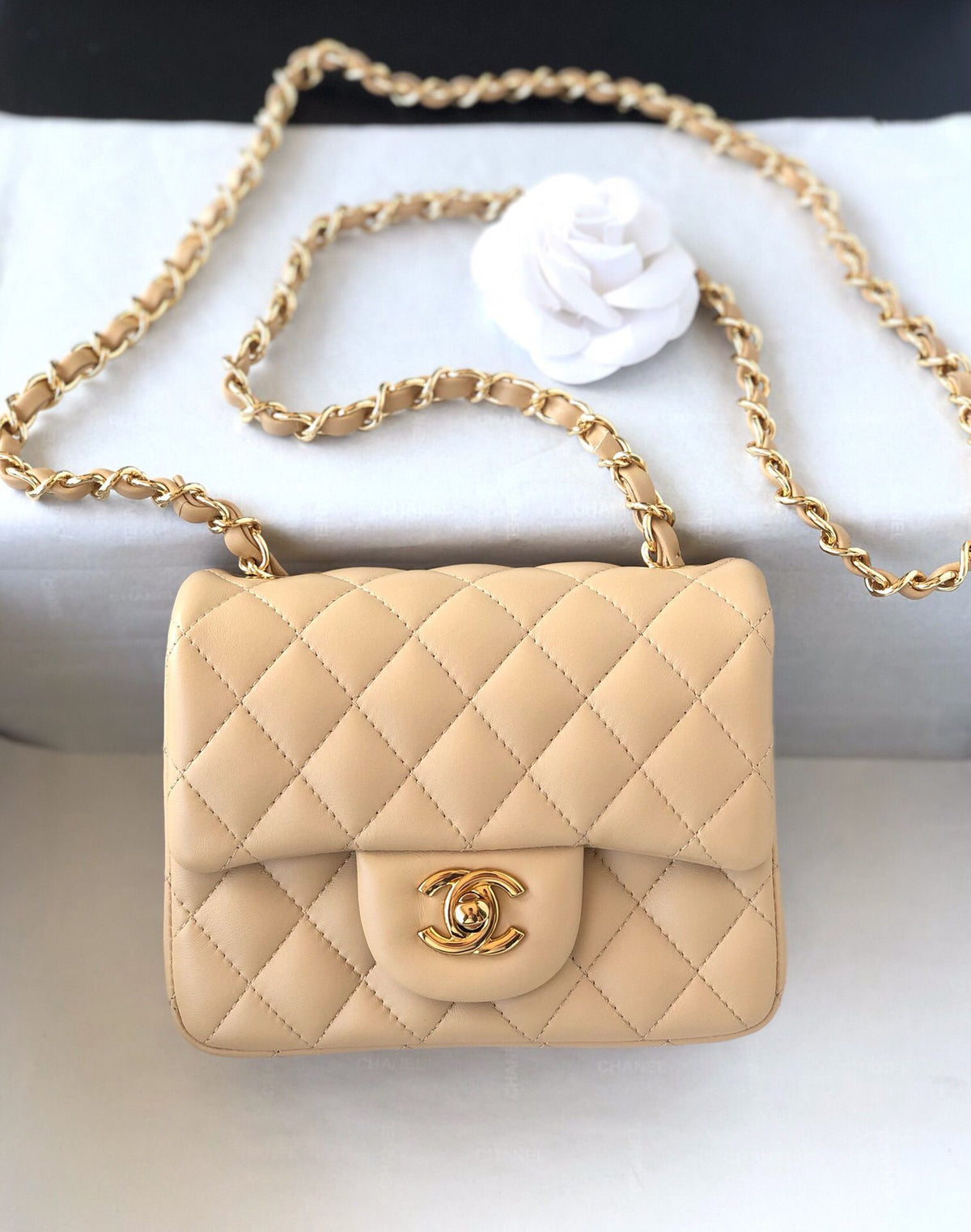 Fang Fatzi Mini 17cm CF has a very feminine elegance and inherits classics. It is listed as the historical sales champion and is an indispensable piece in every pink fan’s wardrobe. 17cm650 Sheepskin
